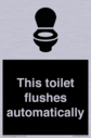 this-toilet-flushes-automatically~